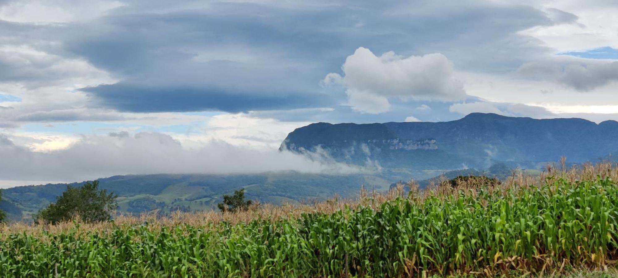 הוילה אלפרדו ואגנר Refugio Da Montanha Brasil מראה חיצוני תמונה